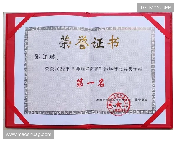 南京乒乓球队荣登全国比赛经验排行榜第十名的背后故事与成就分析 南京乒乓球队荣登全国比赛经验排行榜第十名的背后故事与成就分析