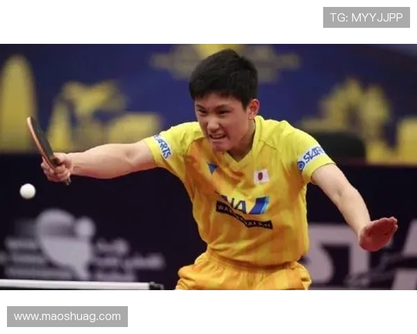 张伟乒乓球生涯回顾与展望:从青涩少年到世界冠军的心路历程 张伟乒乓球生涯回顾与展望:从青涩少年到世界冠军的心路历程