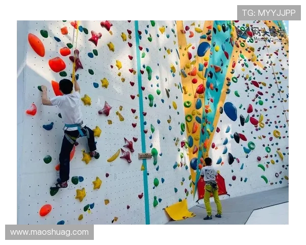 杭州攀岩队协作精神探讨与训练技巧分享的深度分析 杭州攀岩队协作精神探讨与训练技巧分享的深度分析