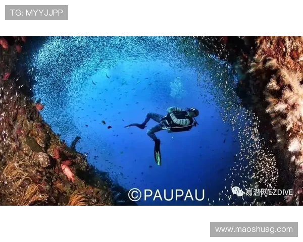 极限运动女王周芳分享成功秘诀与心路历程 极限运动女王周芳分享成功秘诀与心路历程