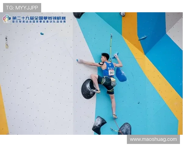 武汉攀岩队在全国攀岩技术排行榜中荣获第九名的佳绩引发关注 武汉攀岩队在全国攀岩技术排行榜中荣获第九名的佳绩引发关注