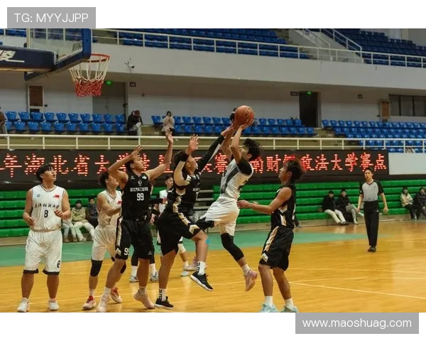 武汉篮球队在全国锦标赛中的比赛经验与表现分析 武汉篮球队在全国锦标赛中的比赛经验与表现分析