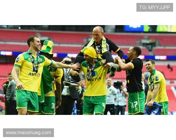 深入分析北京排球队阵地战战术与技巧的独特之处 深入分析北京排球队阵地战战术与技巧的独特之处