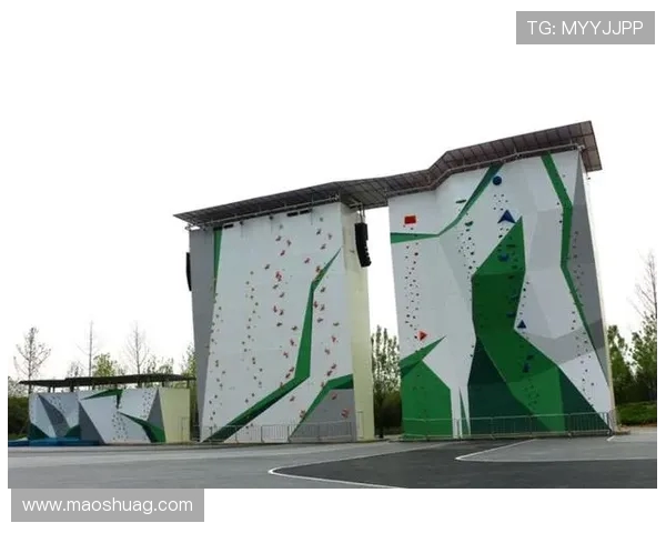 深圳极限运动队荣登极限运动战术排行榜第九名的背后故事 深圳极限运动队荣登极限运动战术排行榜第九名的背后故事