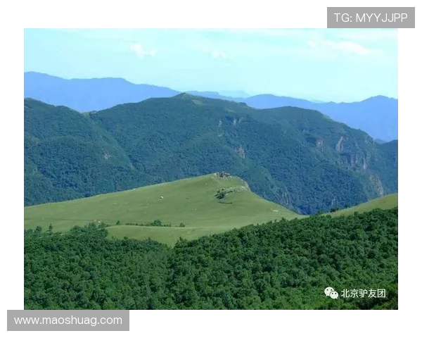 赵磊亲授攀岩技巧与心得分享助你征服高峰之旅