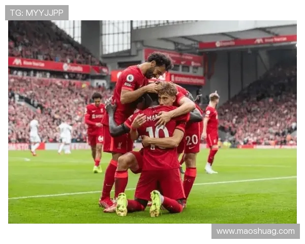 2019年多特蒙德与利物浦激情对决回顾及赛后分析