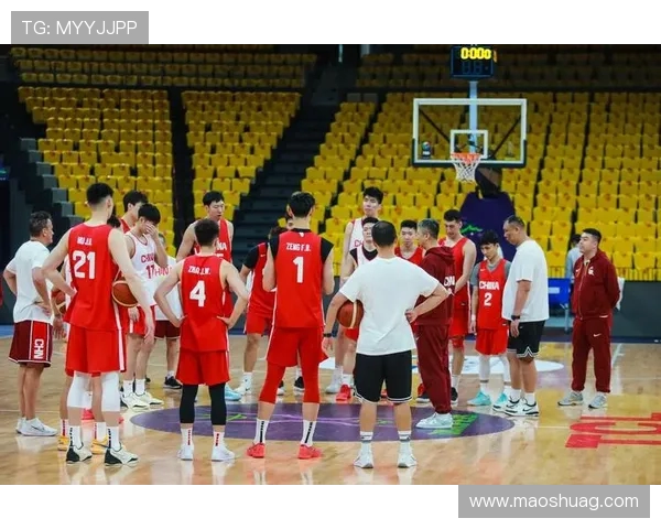中国男篮对阵法国精彩直播全程回顾与赛后分析尽在这里