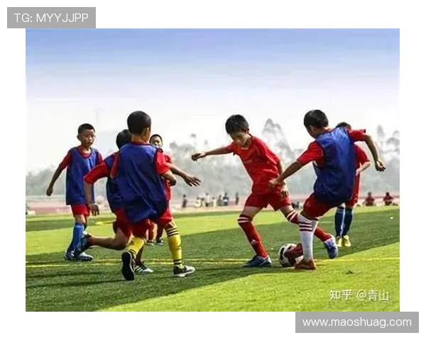 巴竞技与克鲁赛罗的激烈对决揭示巴西足球的魅力与竞争力