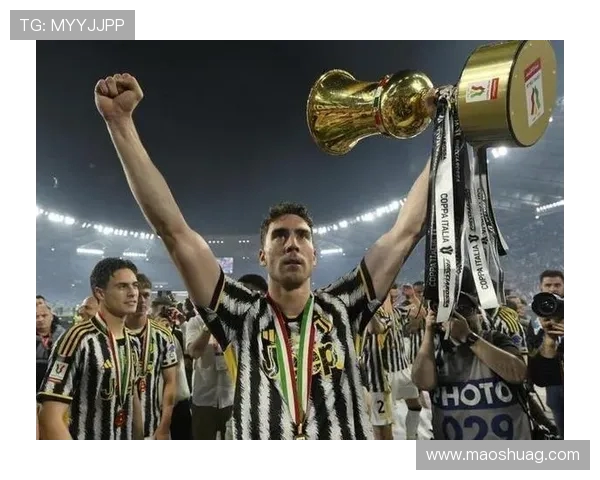 弗拉霍维奇：从天才前锋到足坛新星的成长之路与未来展望