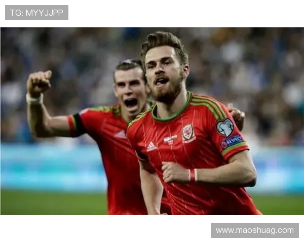 戈亚斯与累体育的精彩对决展现足球魅力与团队精神的较量