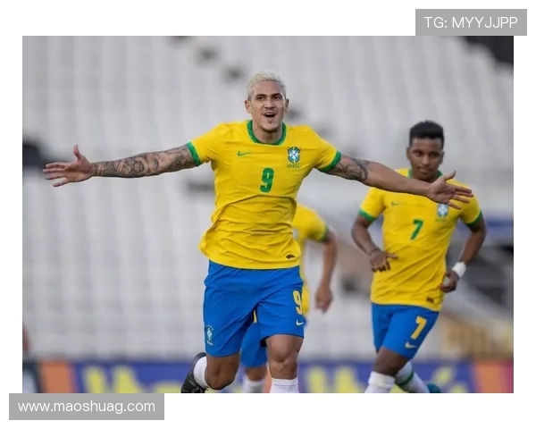 维尼修斯：从巴西足球新星到世界舞台的璀璨明珠之路