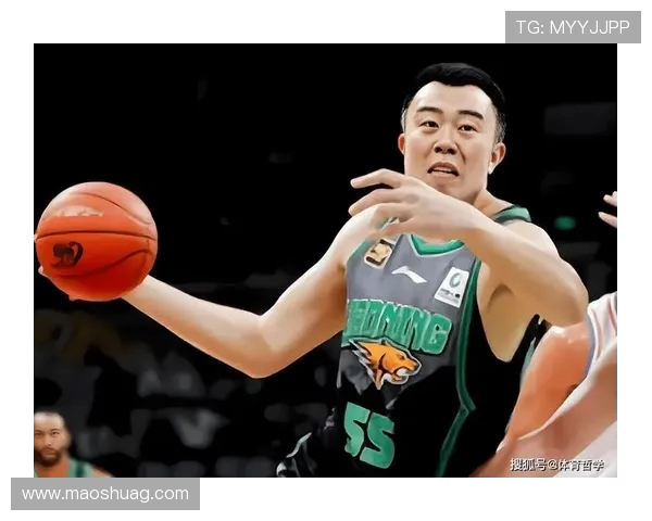 韩德君：从篮球场上的巨人到人生舞台的奋斗者之路