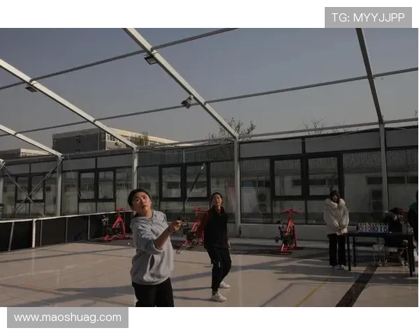 黄芳独家揭秘羽毛球技巧与心得分享助你提升球技的秘密之道