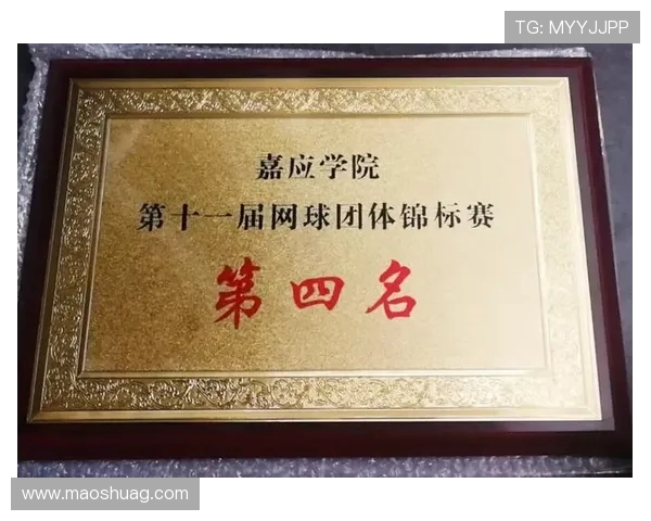 杭州网球队团队协作的独特优势与其他球队的深度比较分析