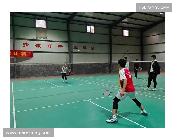 深圳羽毛球队心理素质分析及其对比赛表现的影响研究