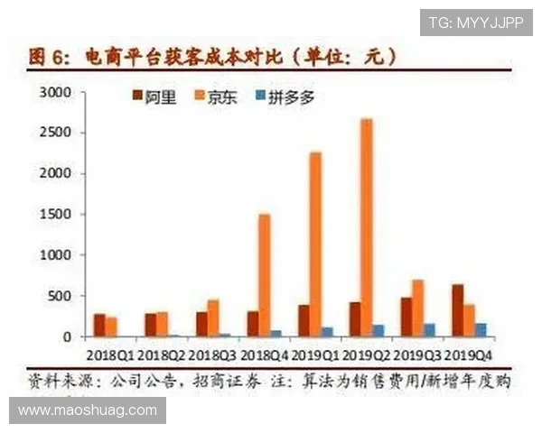 上海排球队运营揭秘：深度分析其成功背后的策略与管理模式