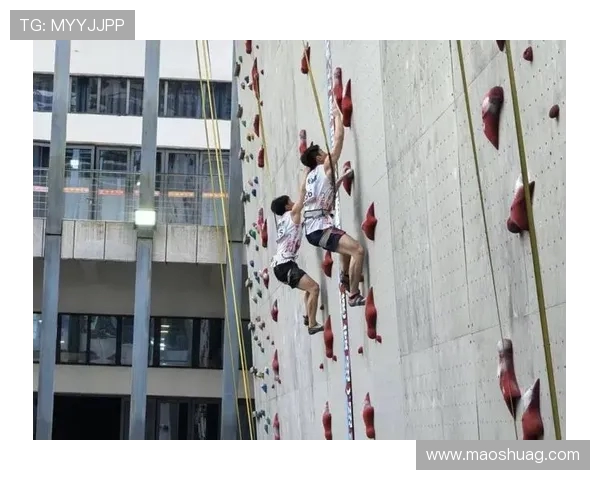 北京攀岩队速度训练的挑战与突破探索之旅