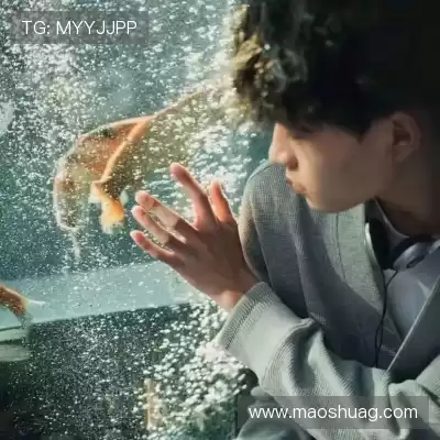 云维燕